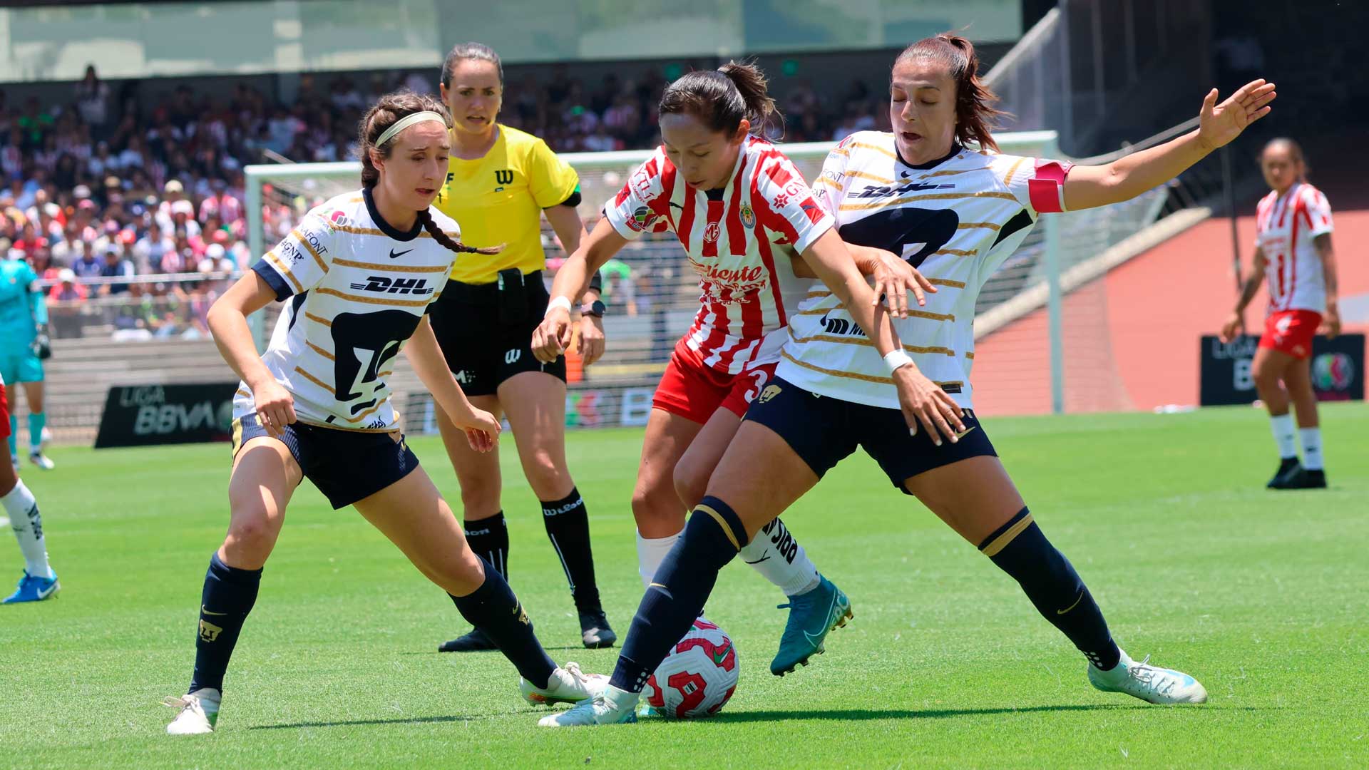 Marcello Frigério asume la eliminación de Pumas Femenil: "Pido perdón, no pudimos clasificar por errores"
