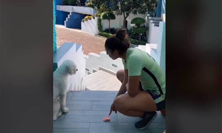 Jana Gutiérrez presume a su “obediente” perrito 